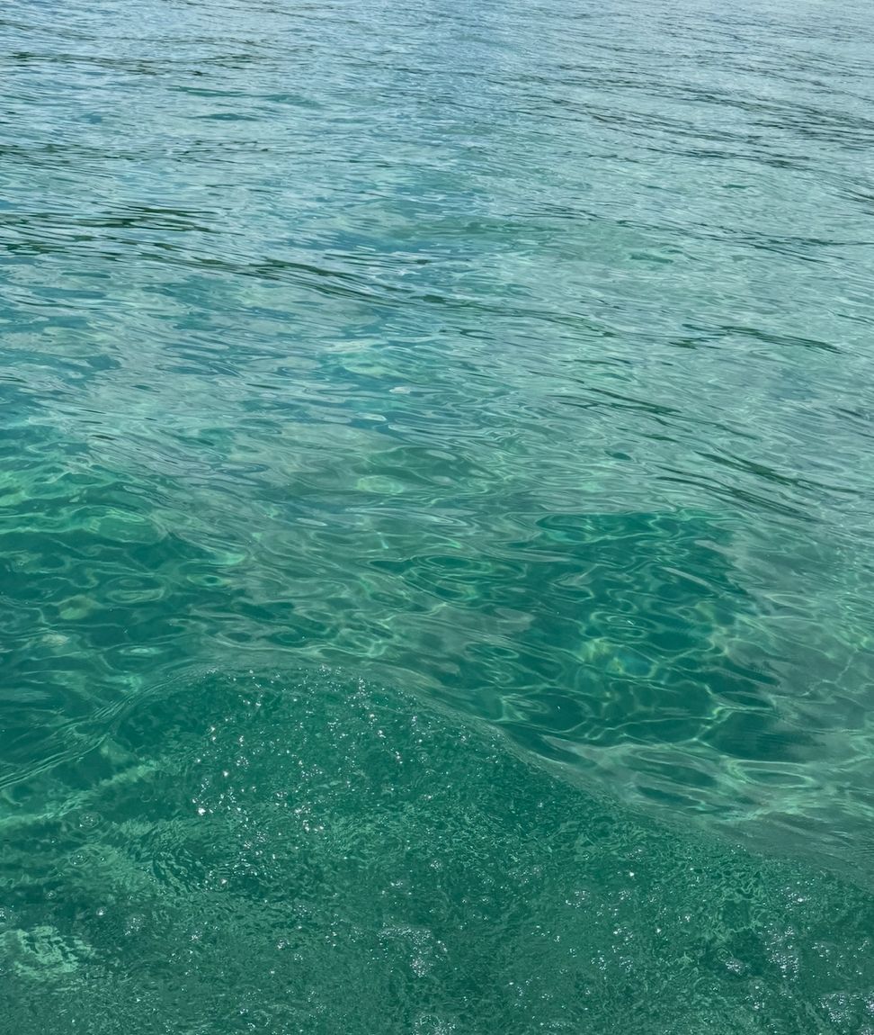 Looking to Purchase Utah and Salt Lake Canal and Utah Lake Distributing