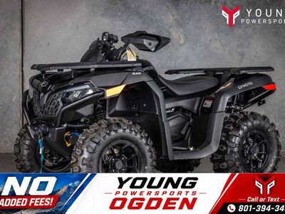 2025 CFMOTO CFORCE 600