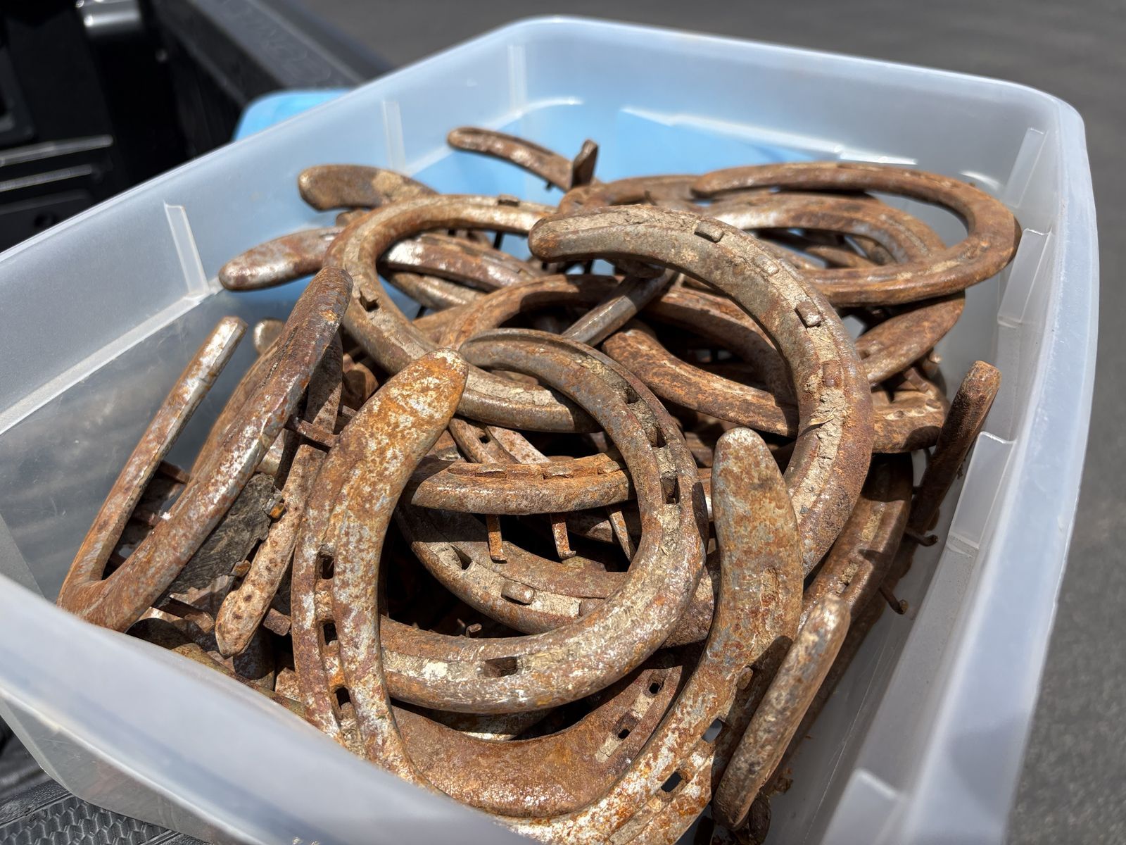 Horseshoes, Vintage, lucky, rustic Weathered and worn, antique, horses equestrian, Horse shoe