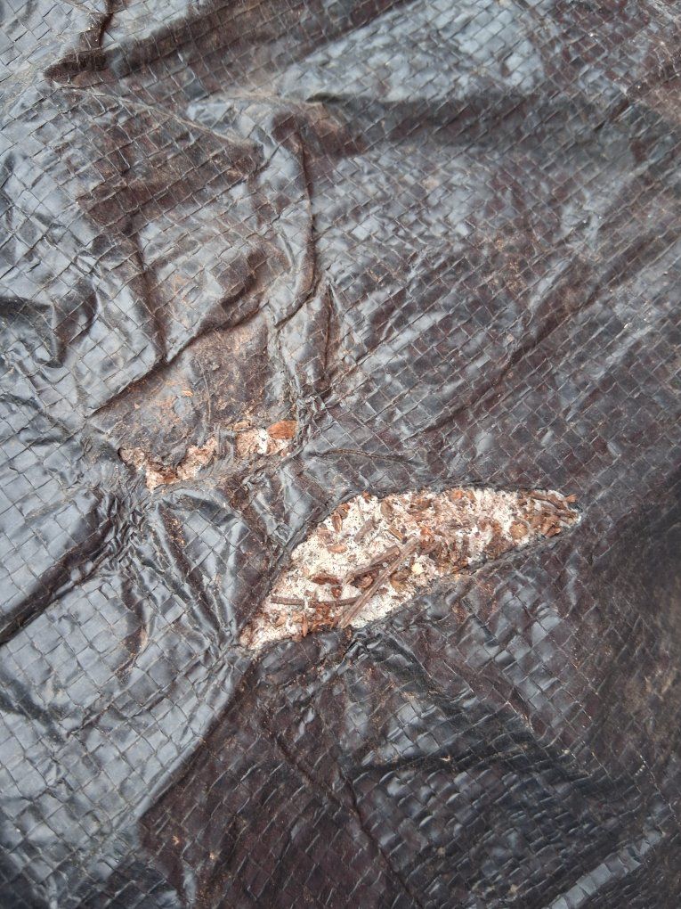 Main image 10