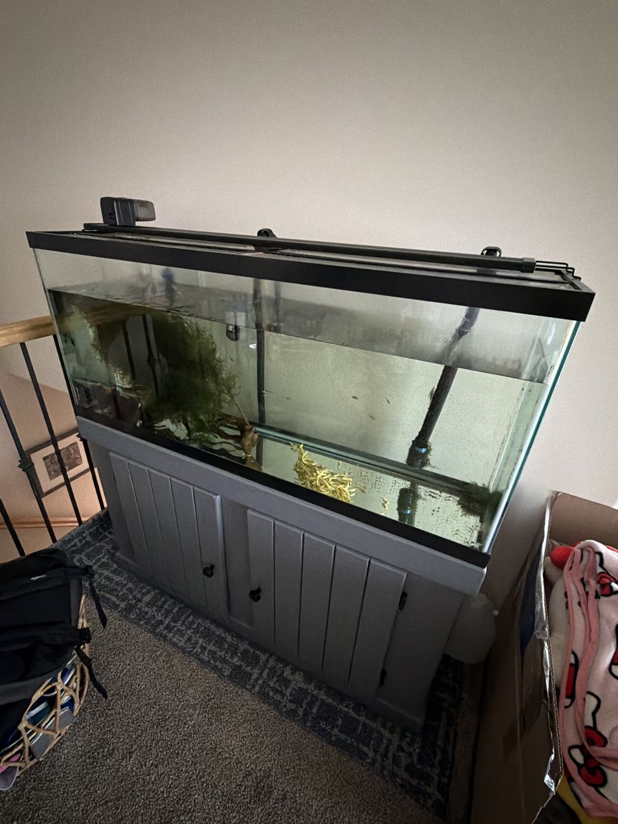65 Gallon Glass Aquarium Fish Tank & Grey Wooden Stand - Pick Up Eagle Mountain
