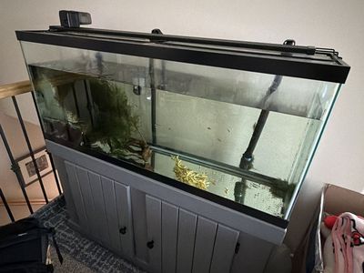 65 Gallon Glass Aquarium Fish Tank & Grey Wooden Stand - Pick Up Eagle Mountain