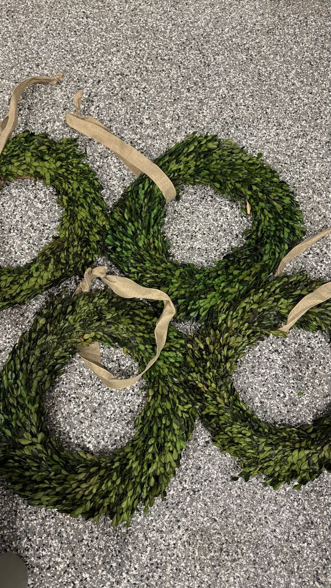 Set of 4 Preserved Boxwood Wreaths with Tan Ribbon - Decorative Home Decor