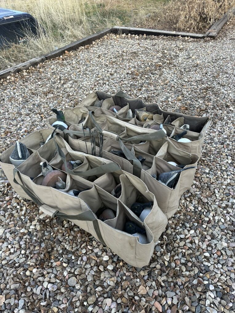 Duck floater Decoys rigged