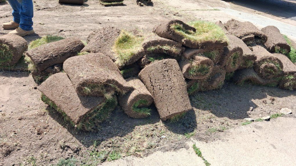 free grass in north Ogden