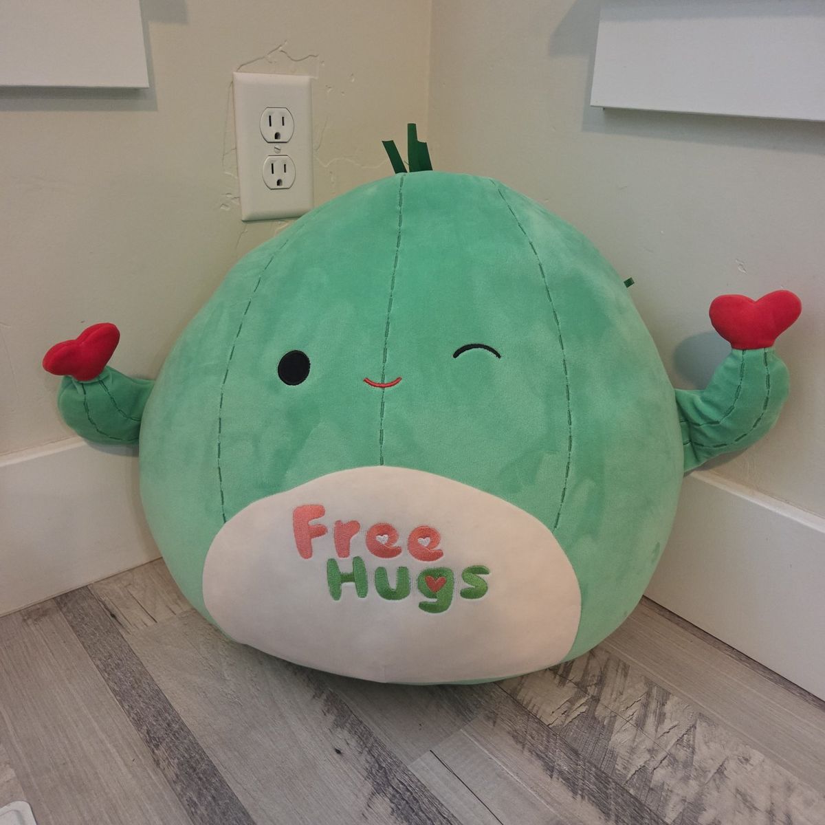 Cactus squish mallow