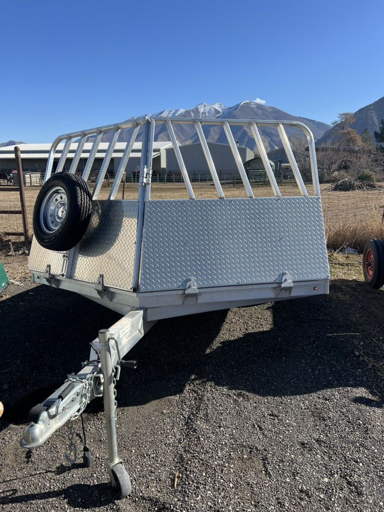 14' Aluma Snowmobile Trailer