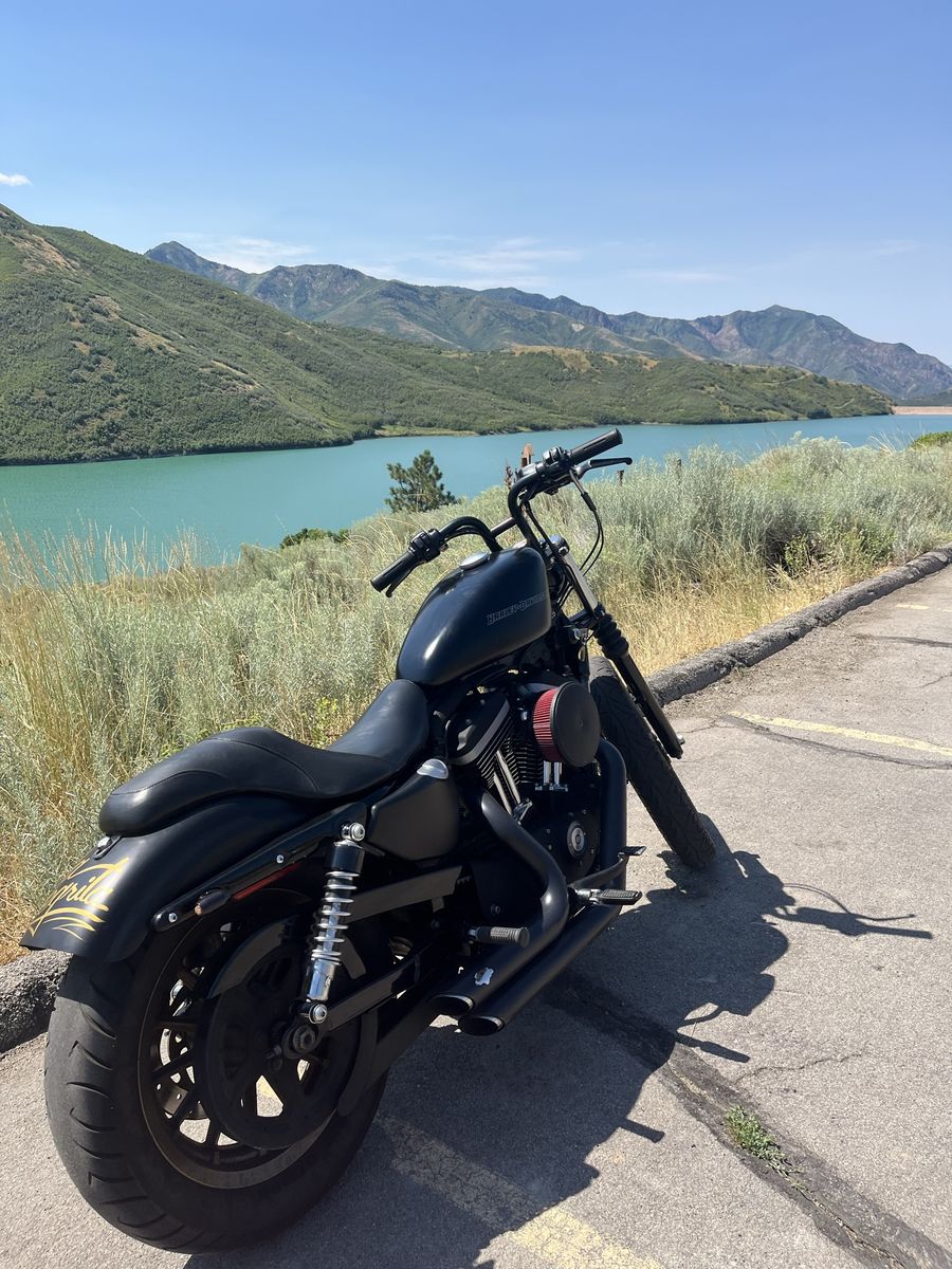 2009 Harley Davidson Sportster 883 (1200cc Big Bore) - Runs Great!