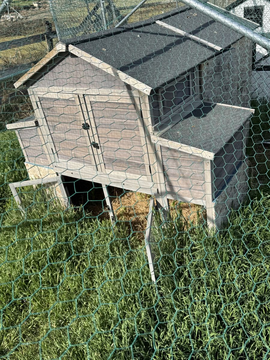 Chicken Coop And Run