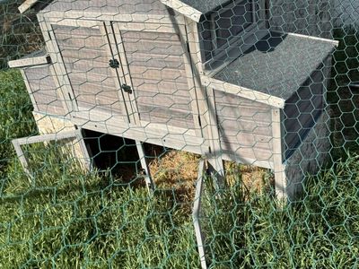 Chicken Coop And Run