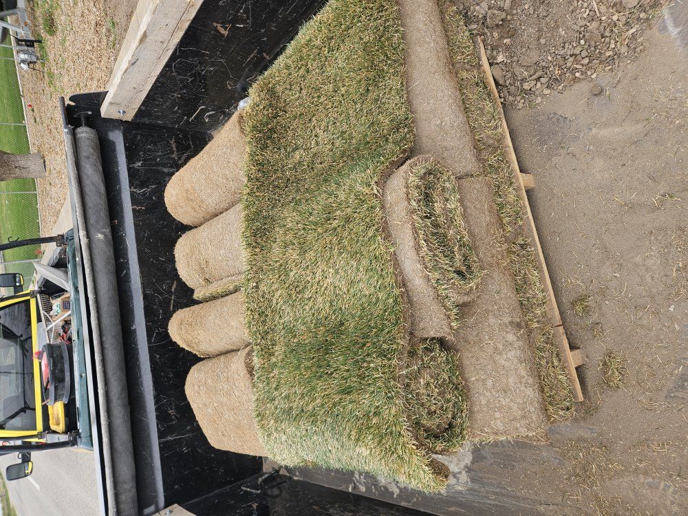 27 rolls of sod fresh for today