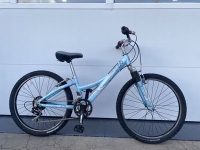 Trek Mountaintrack 220
