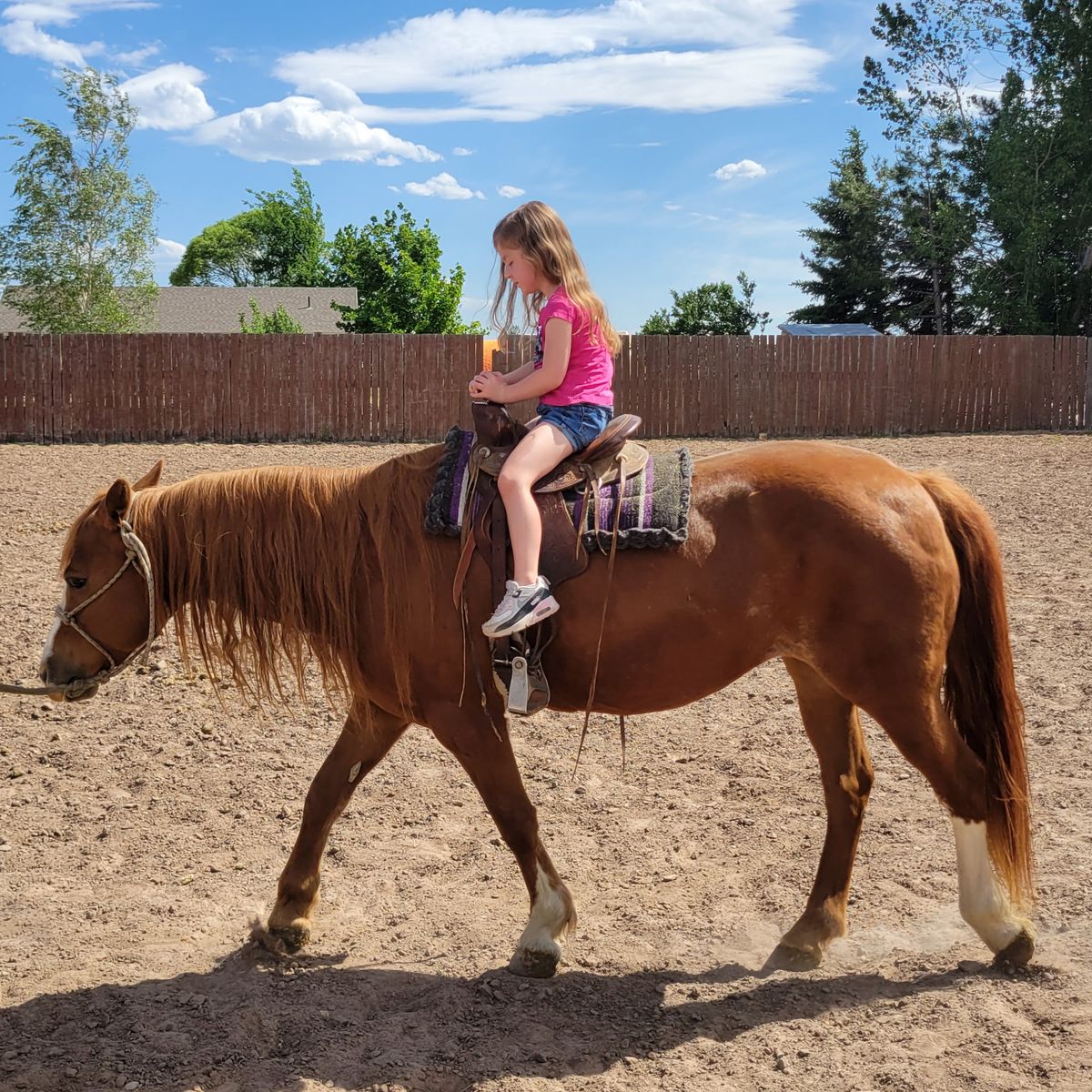 Beautiful Pony