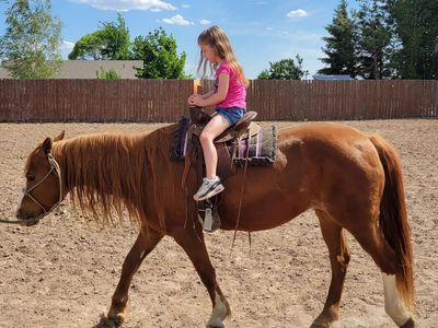 Beautiful Pony