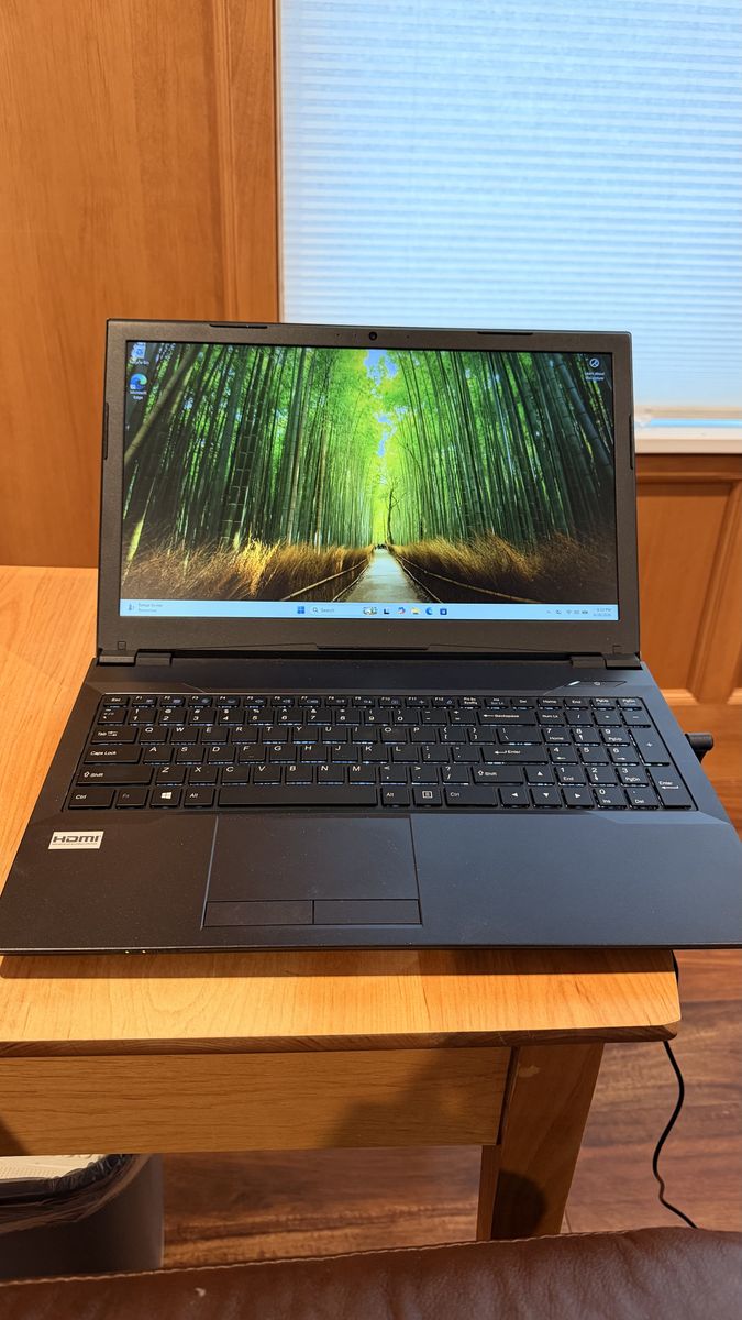 PC Laptops 15.6" Laptop 32GB RAM, 2.3TB SSD