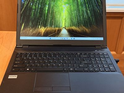 PC Laptops 15.6" Laptop 32GB RAM, 2.3TB SSD