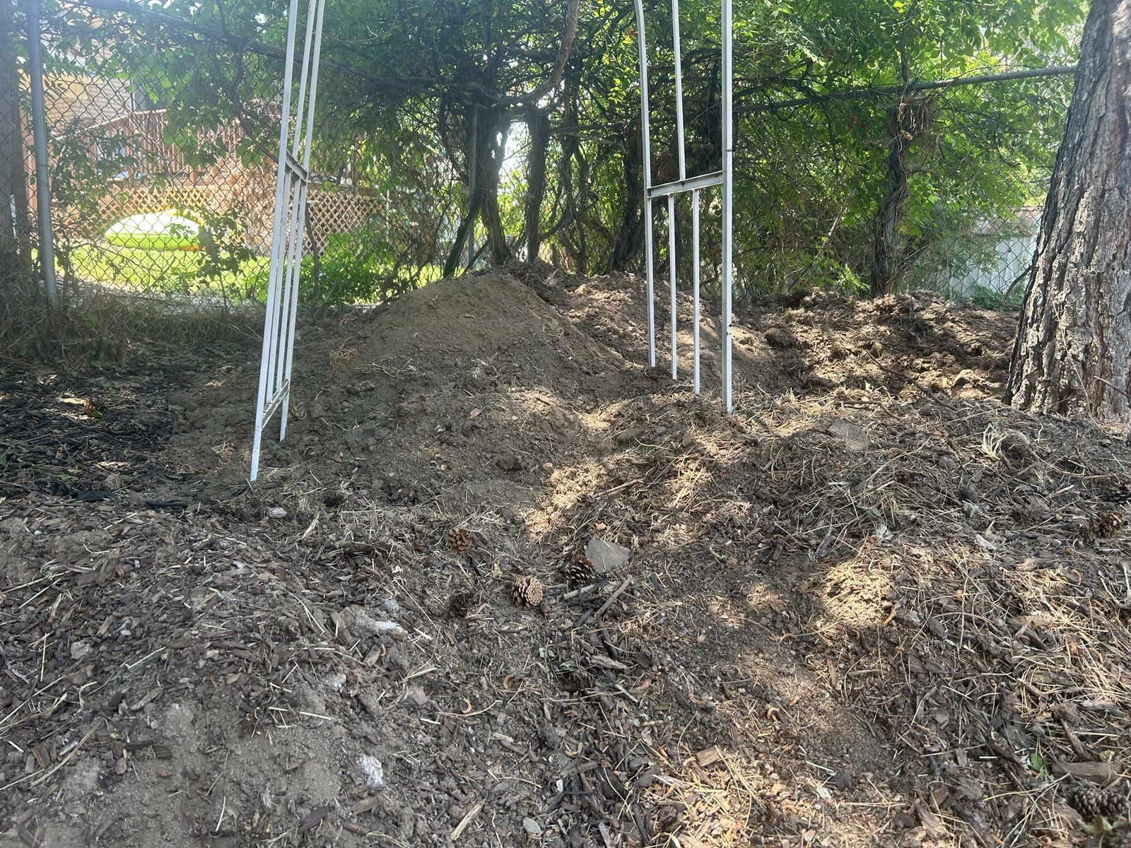 FREE DIRT