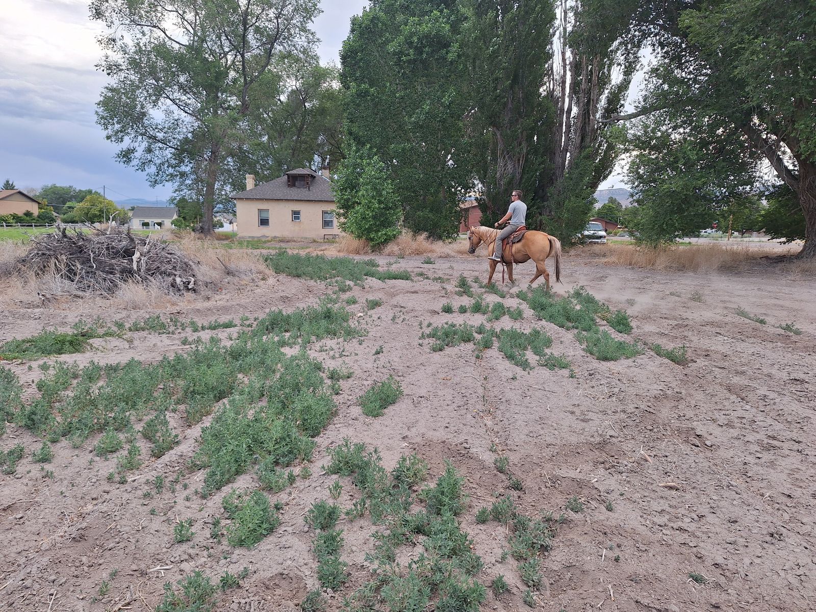 Main image 6