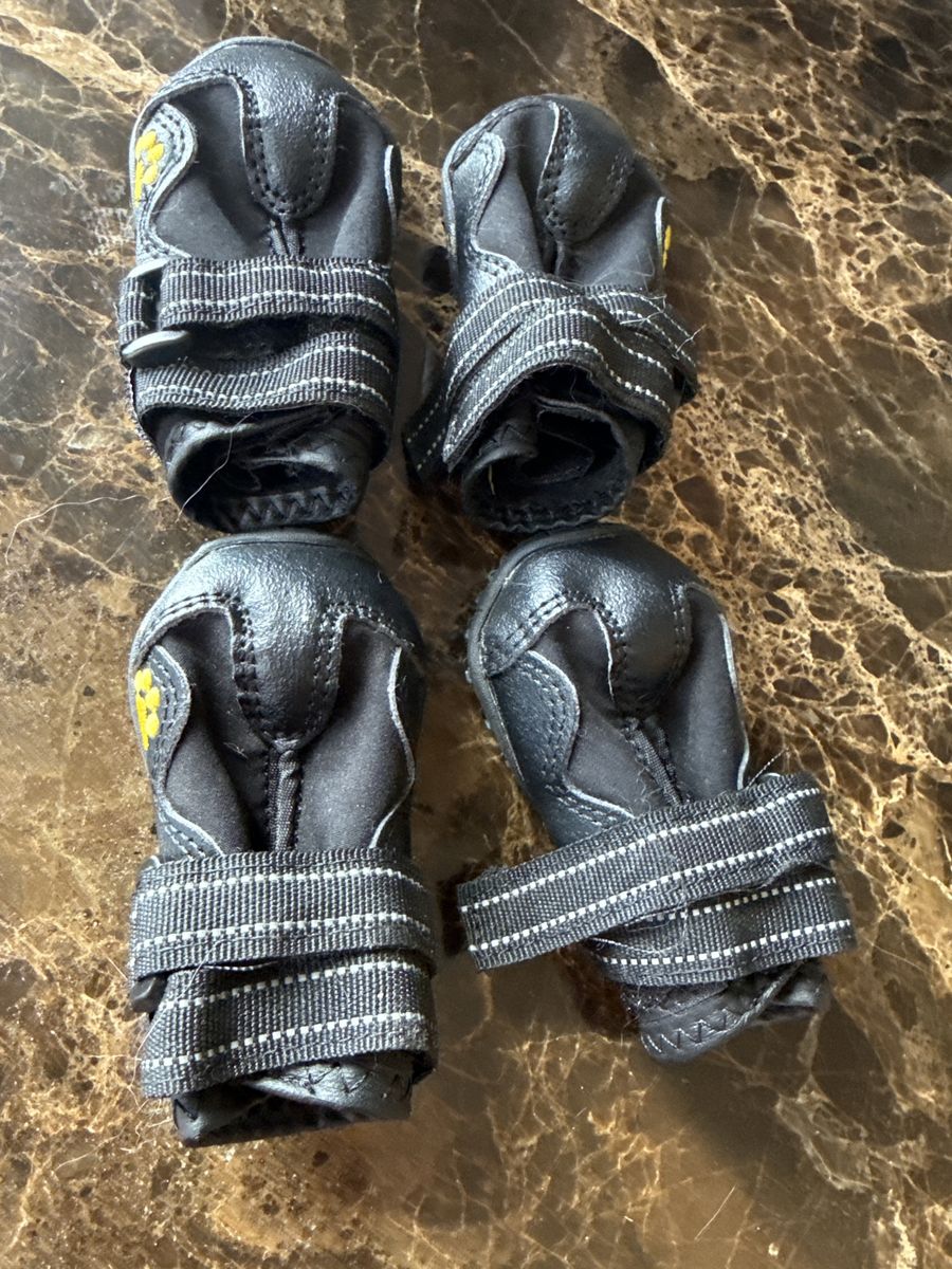 Dog shoes