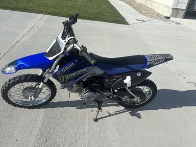 2009 Yamaha TTR110E