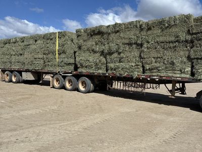 Alfalfa Hay Bales