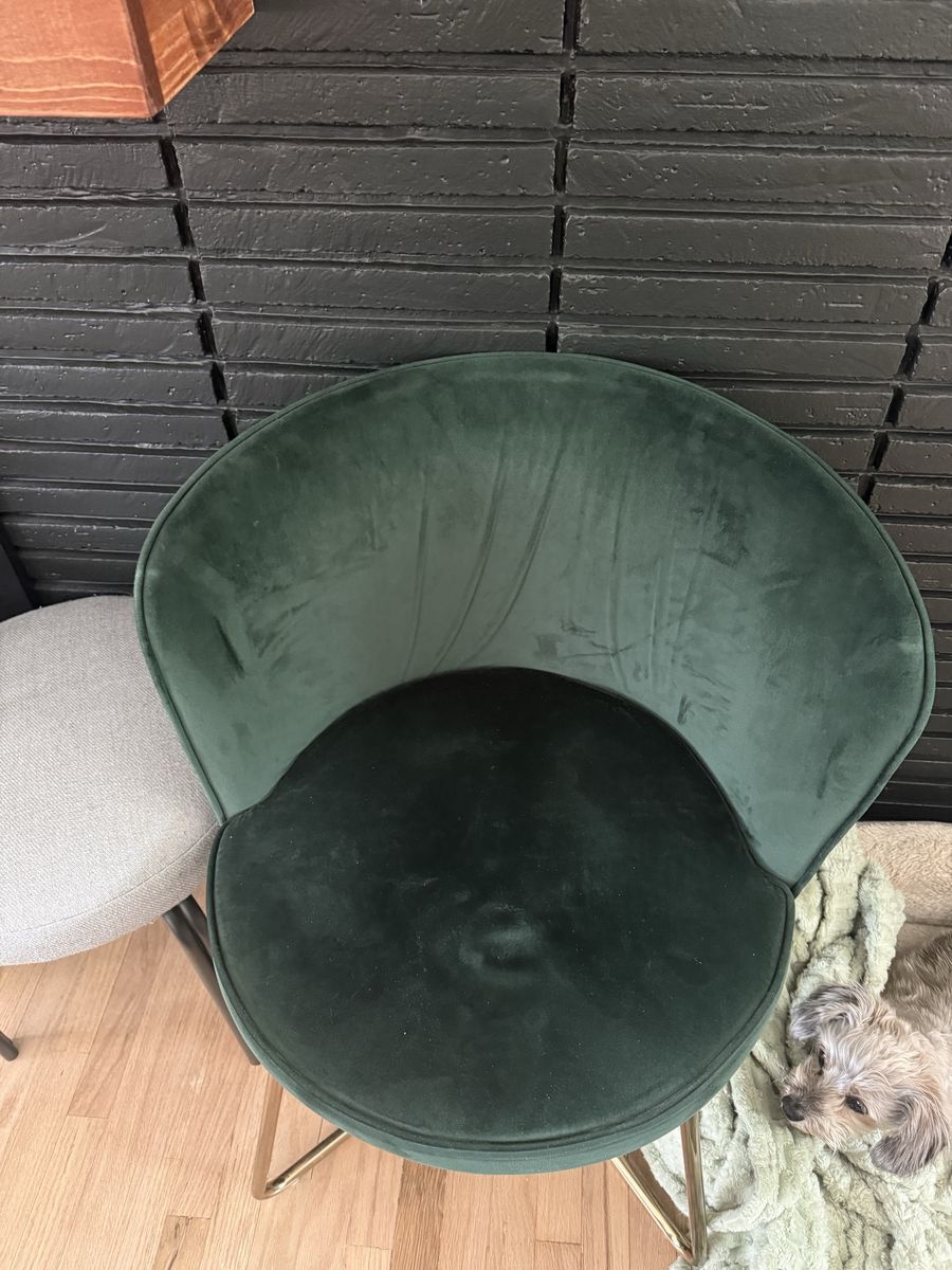 Emerald Green Velvet Dining Chair with Gold Legs - Modern & Stylish Accent Seat