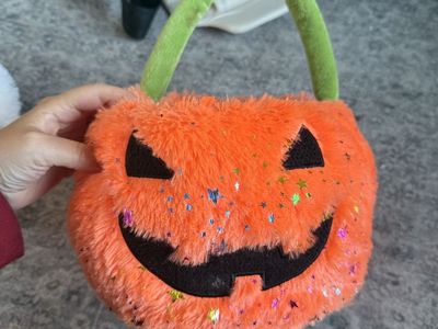 Spooky Pumpkin Trick or Treat Basket/Bag with Handle