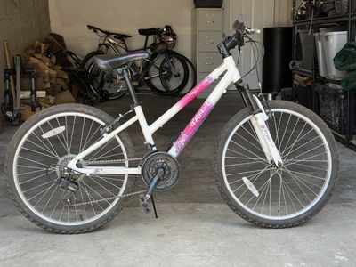 Trayl Passage 24 Youth (Girls) Mountain Bike