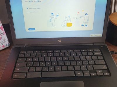 HP Chromebook 14" screen