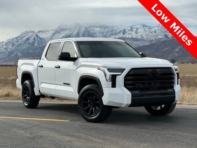 2024 TOYOTA TUNDRA SR5