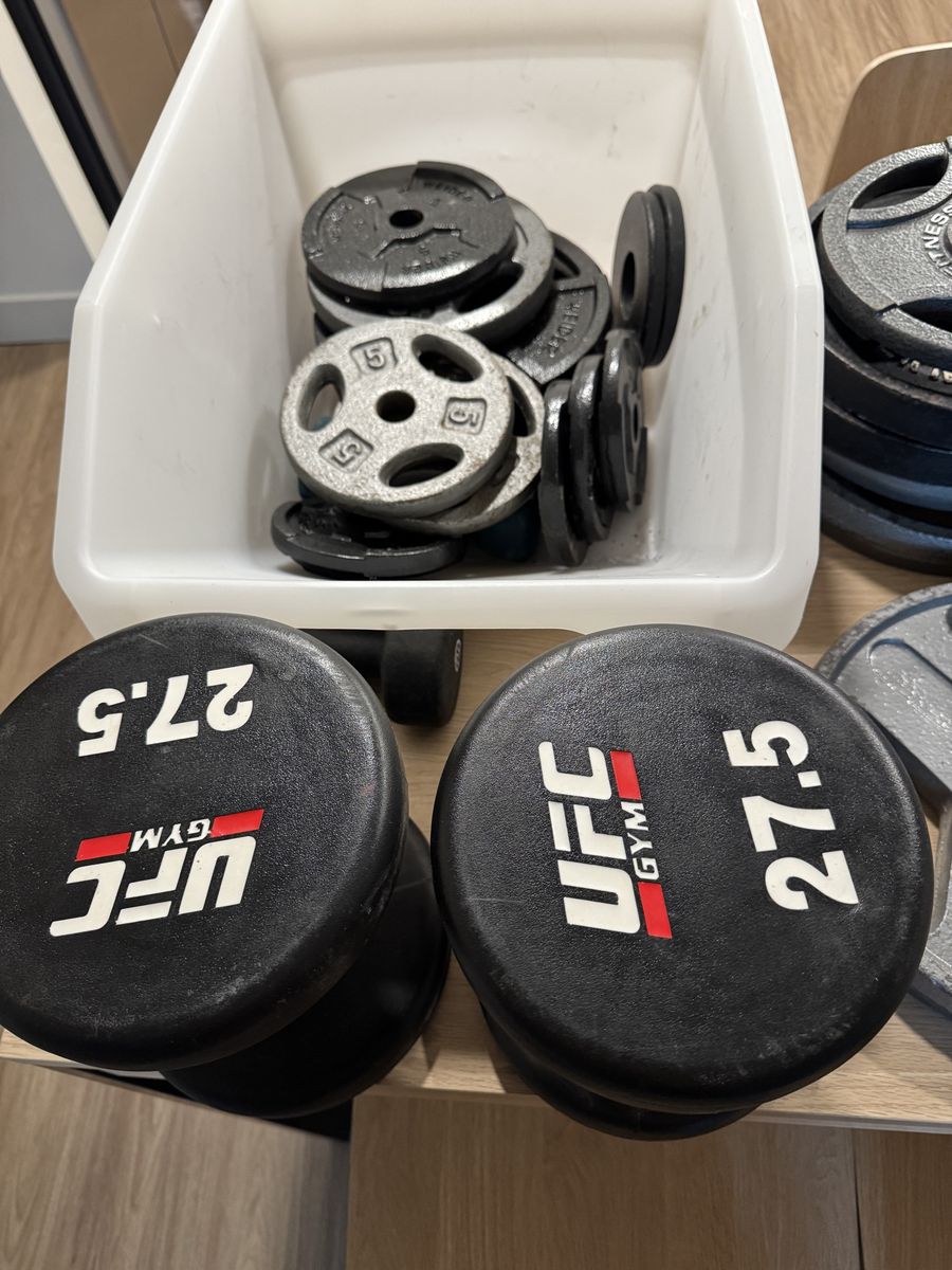 Complete Home Gym Weight Set – Dumbbells, Plates, & Bumper (Over 350+ lbs)
