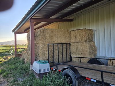 Hay for sale