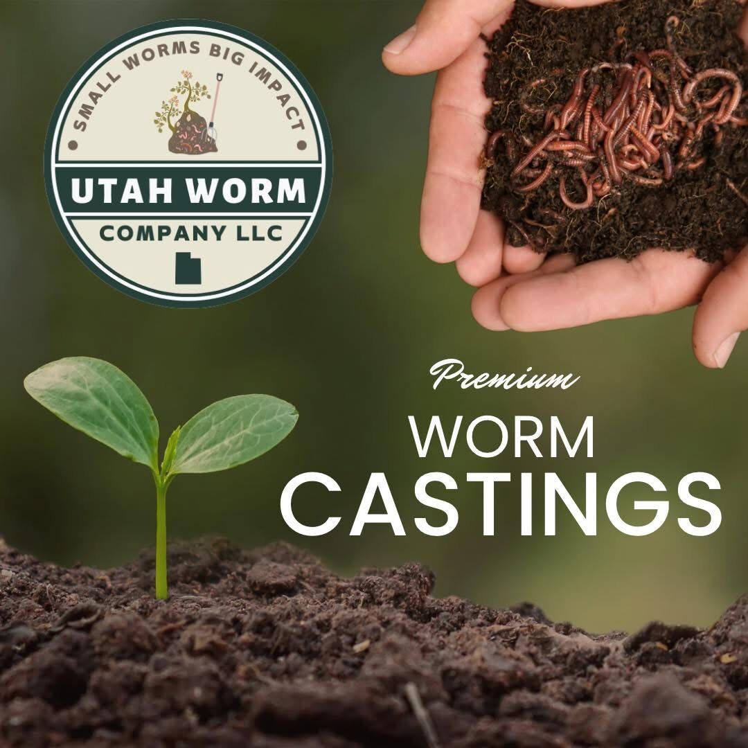 Fresh Worm Castings (Vermicompost)