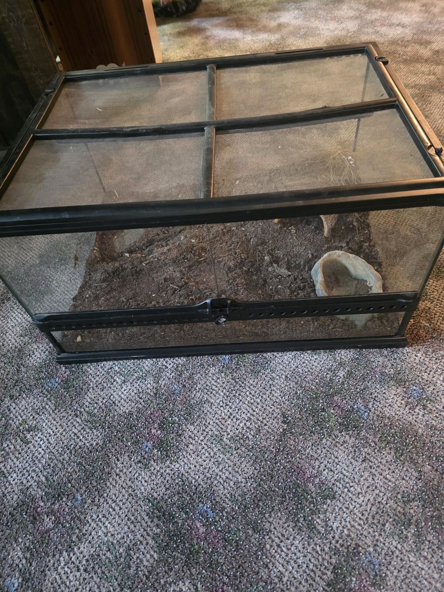 Reptile Tank