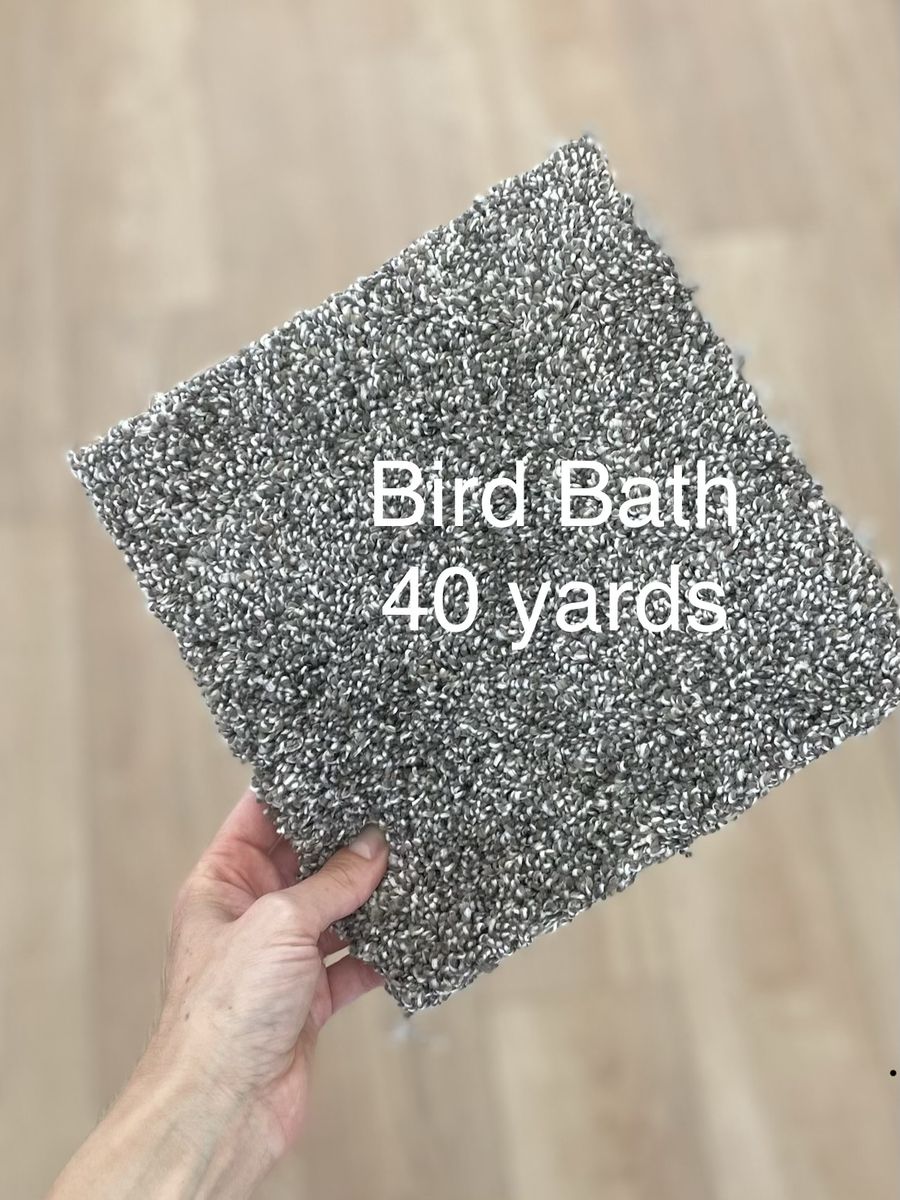 CLEARANCE! Soft SHAW Carpet- Make Us an Offer!