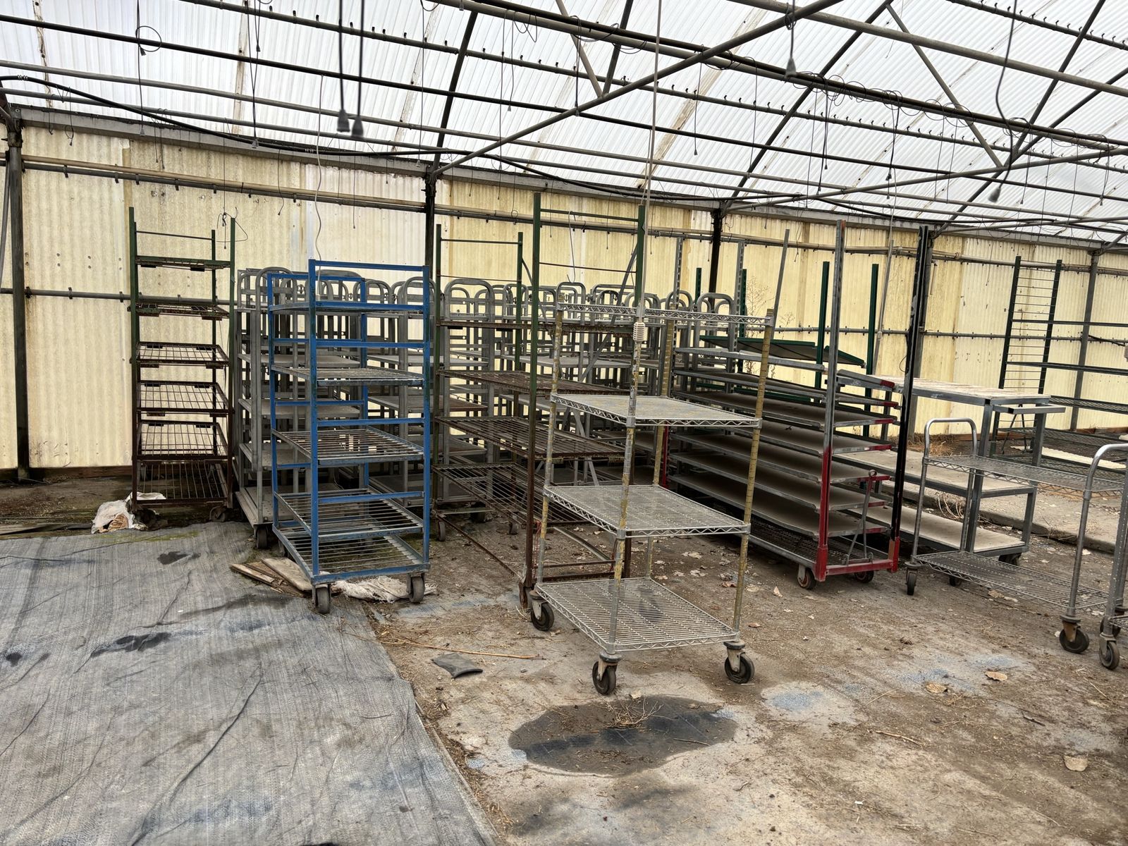 Main image 2