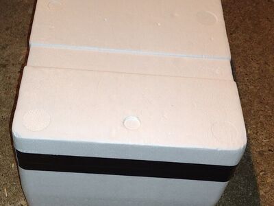 Insulated outdoor cat feral cat Barn cat winter shelter cat house