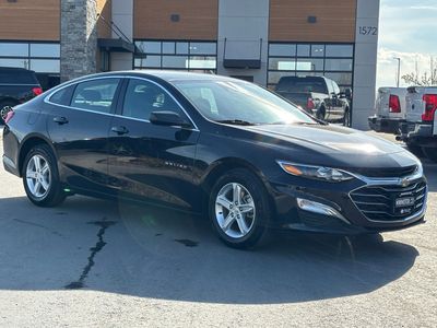 2024 Chevrolet Malibu LS Fleet