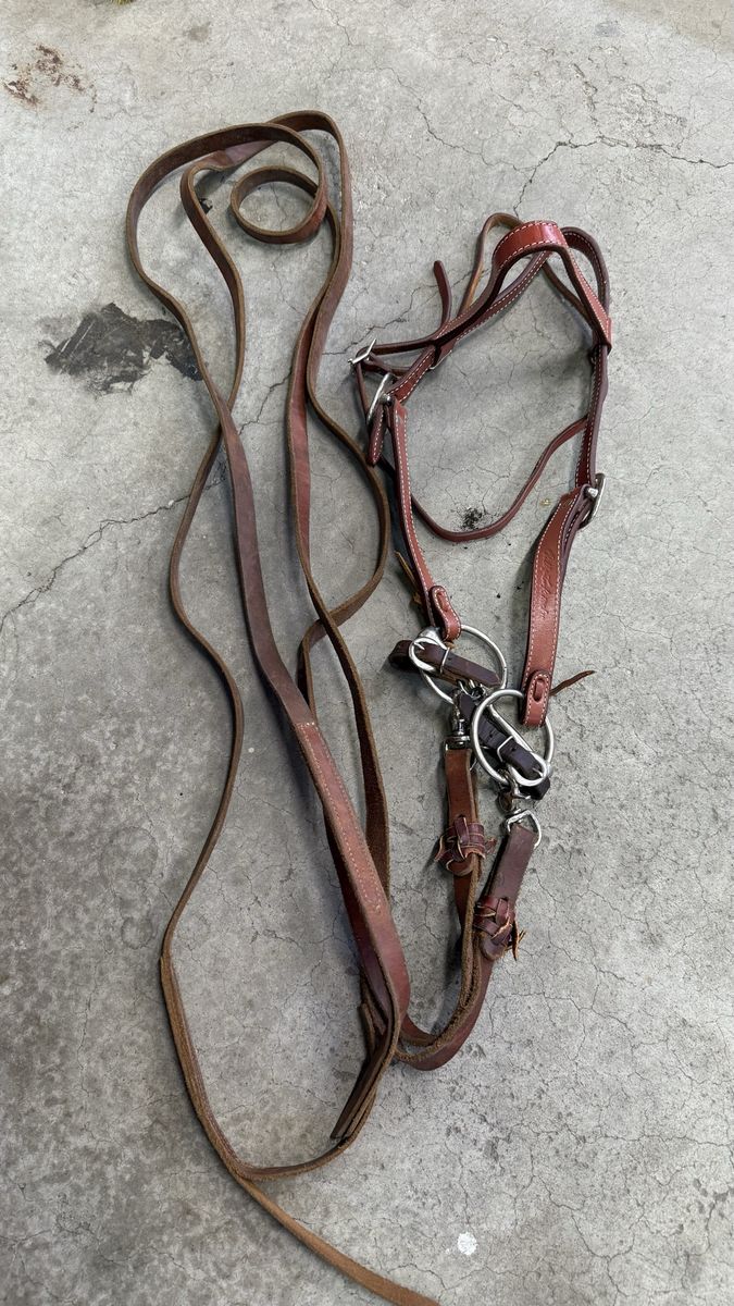 Main image 6