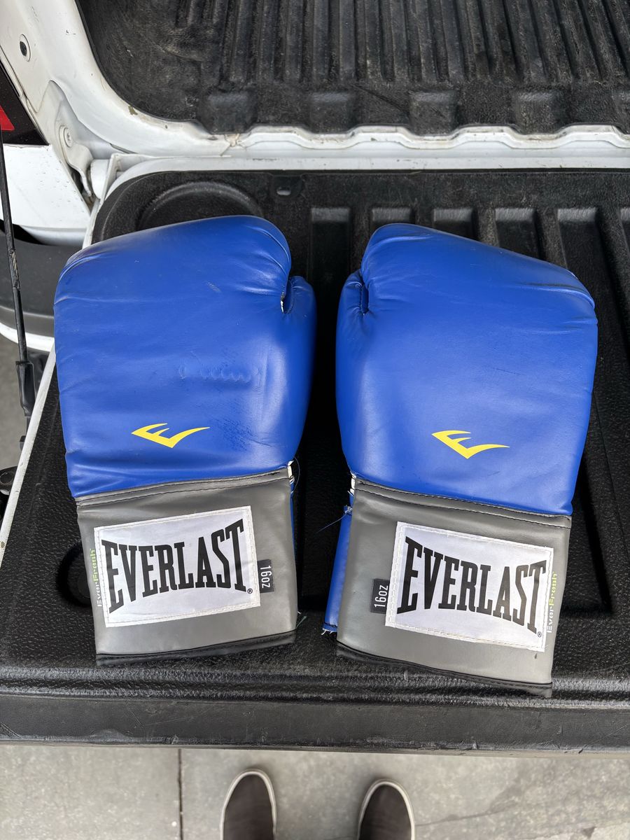 Everlast boxing Gloves 16oz