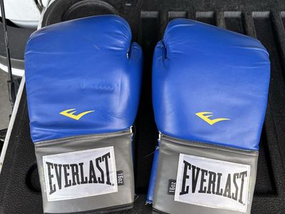 Everlast boxing Gloves 16oz