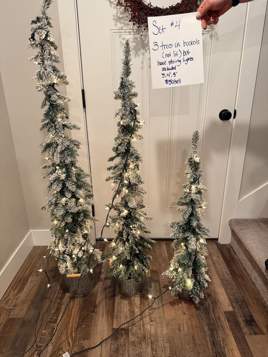 Set of 3 Flocked Artificial Christmas Trees in Buckets (3ft, 4ft, 5ft) with String Lights
