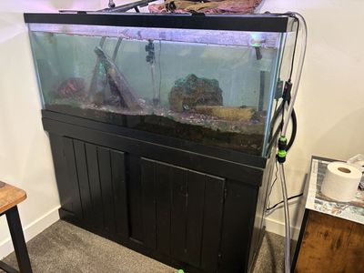 75 Gallon Fish Tank and Base Setup