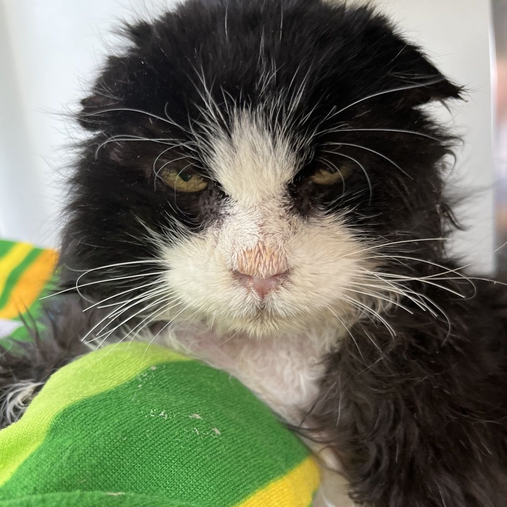 Hello my name is Righty Tighty