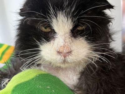 Hello my name is Righty Tighty