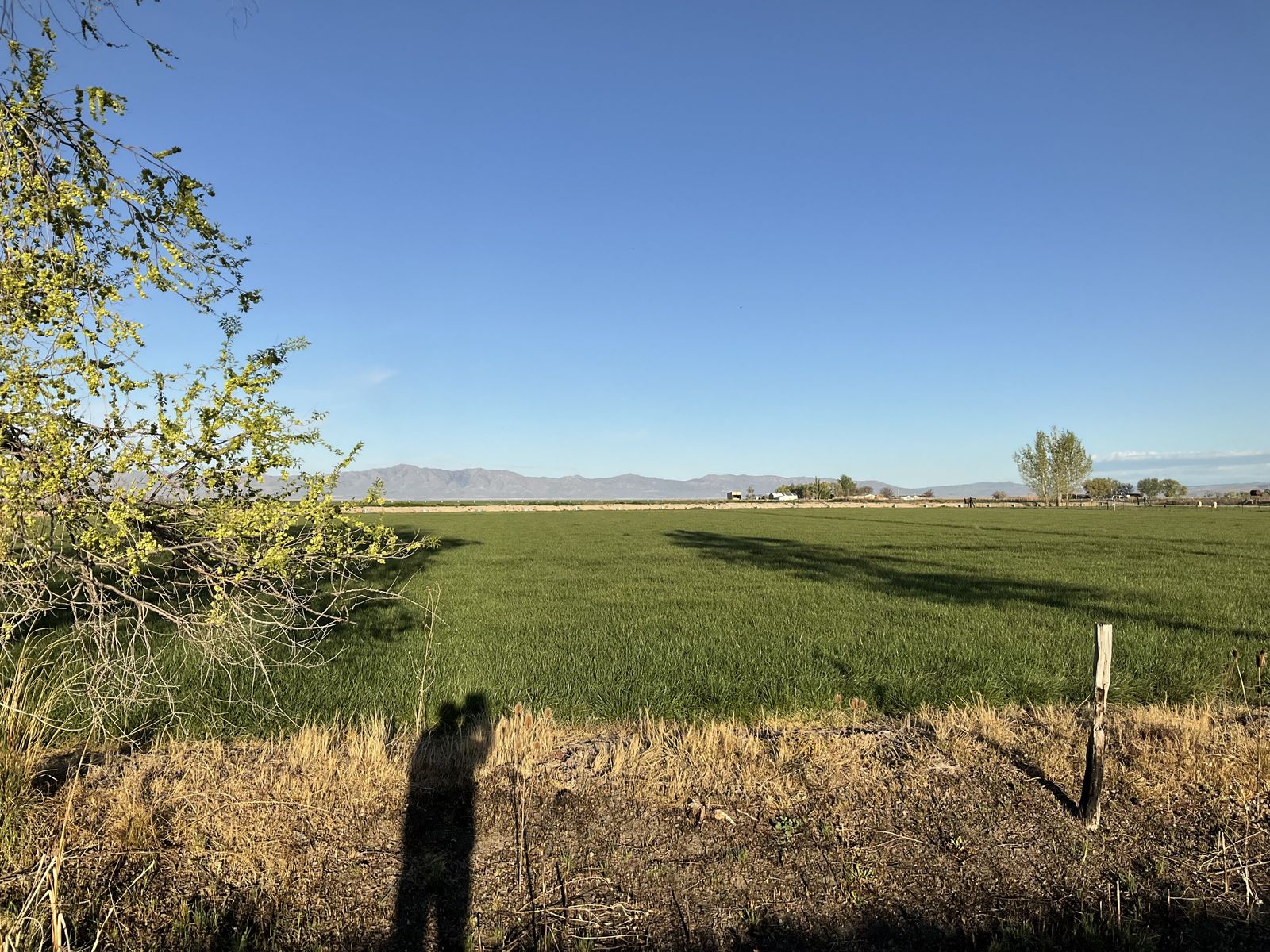 1.55 acre building lot