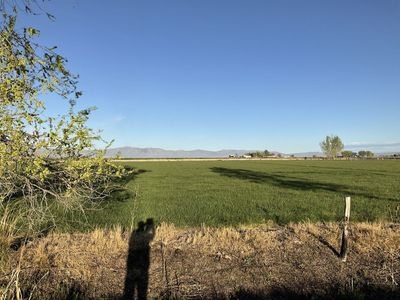 1.55 acre building lot