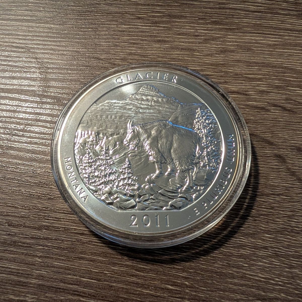 5 OZ Silver