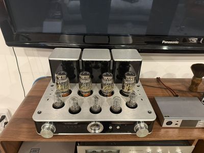 Willsenton R8 KT88 Tube Amp (Upgraded Gold Lion Tu