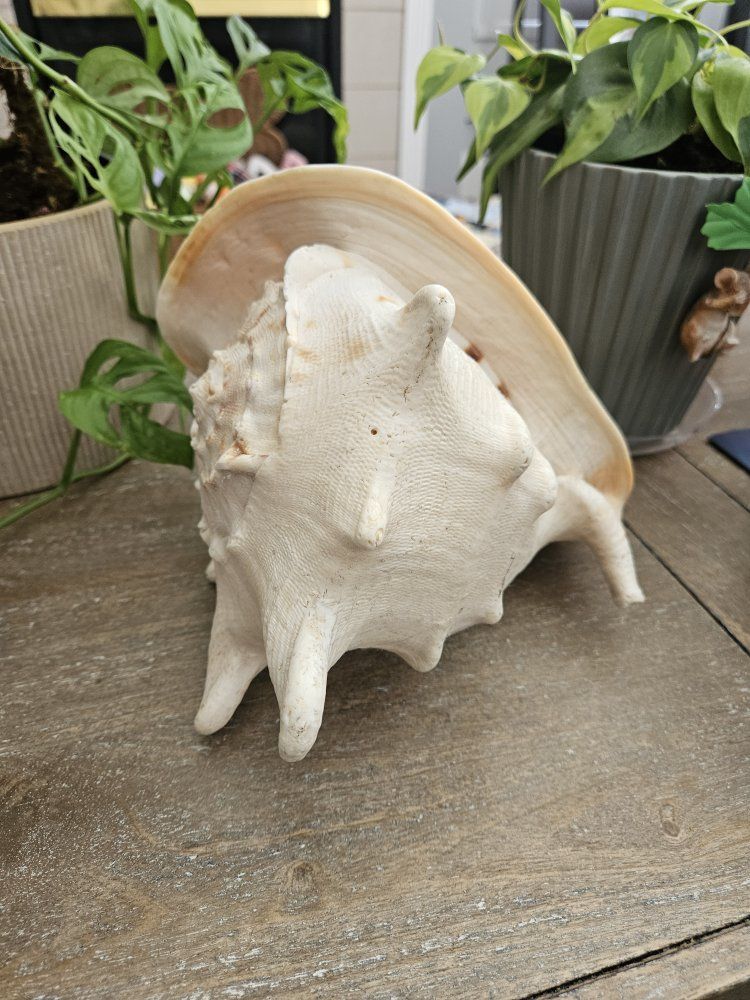 Main image 3